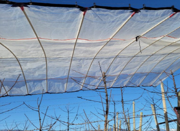 High quality woven fabric for greenhouse cover from Korean expert