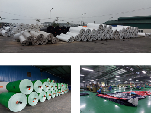 Korean poly tarp/ PE tarp in vietnam